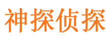 凭祥市调查公司